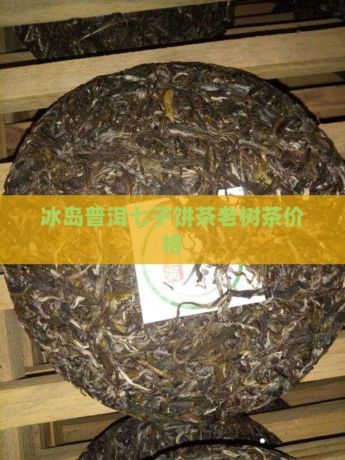 冰岛普洱七子饼茶老树茶