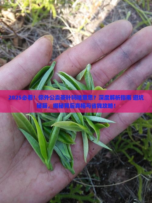 你外公卖茶叶吗啥意思