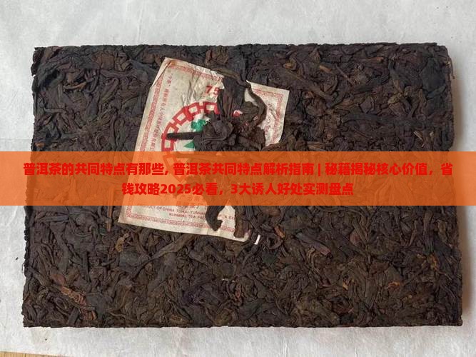 普洱茶的共同特点有那些