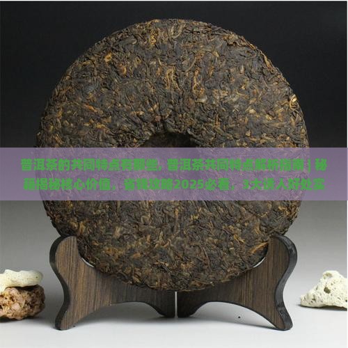 普洱茶的共同特点有那些