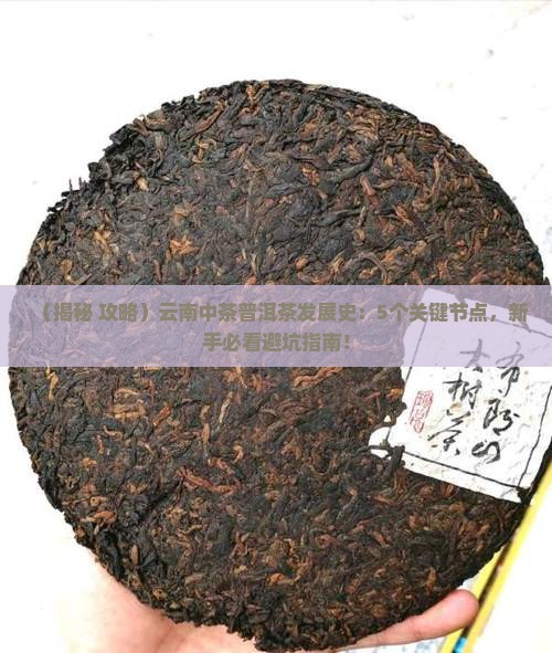 云南中茶普洱茶发展史