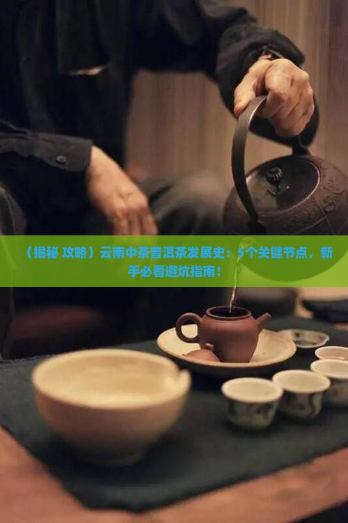 云南中茶普洱茶发展史
