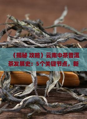 云南中茶普洱茶发展史