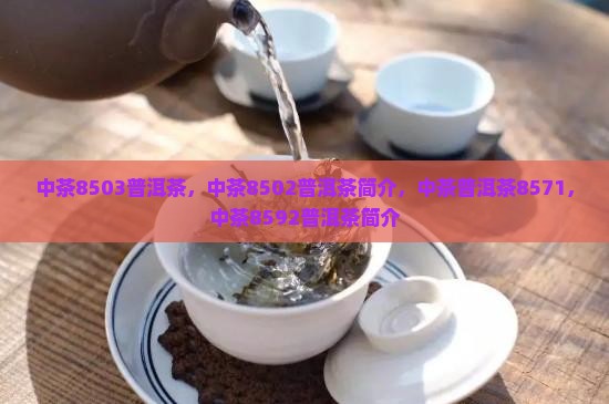 中茶8503普洱茶