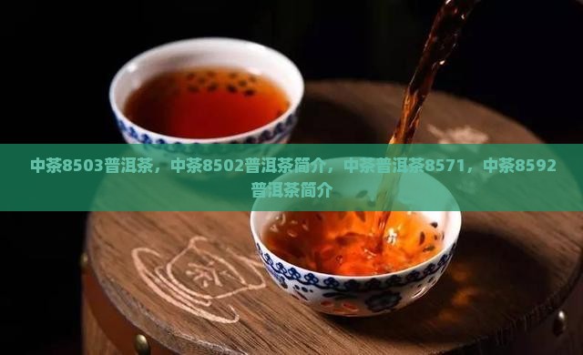 中茶8503普洱茶