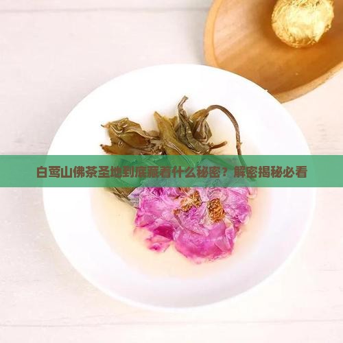 白莺山佛茶圣地