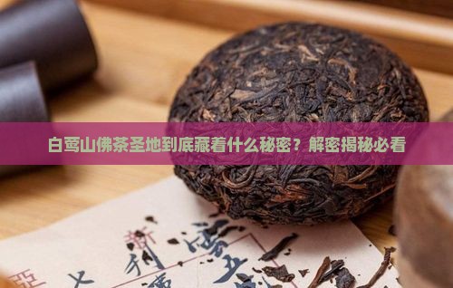 白莺山佛茶圣地