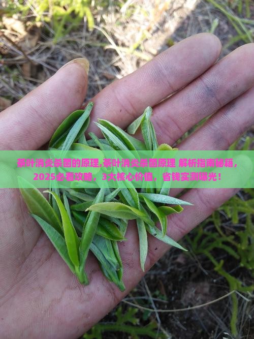 茶叶消炎杀菌的原理