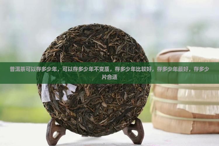 普洱茶可以存多少
