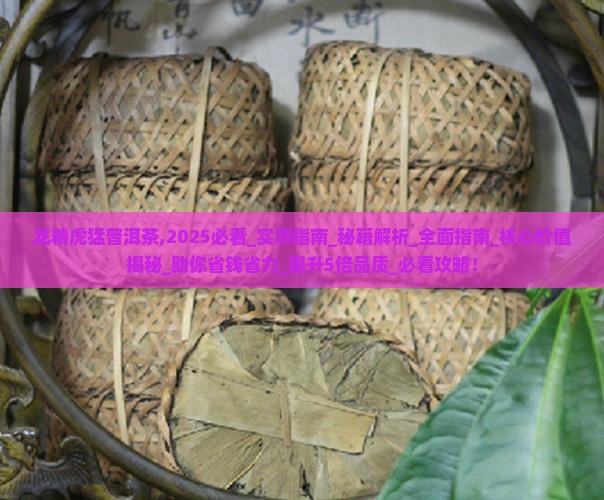 龙精虎猛普洱茶