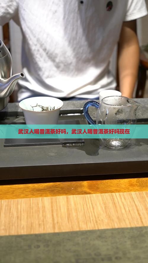 武汉人喝普洱茶好吗