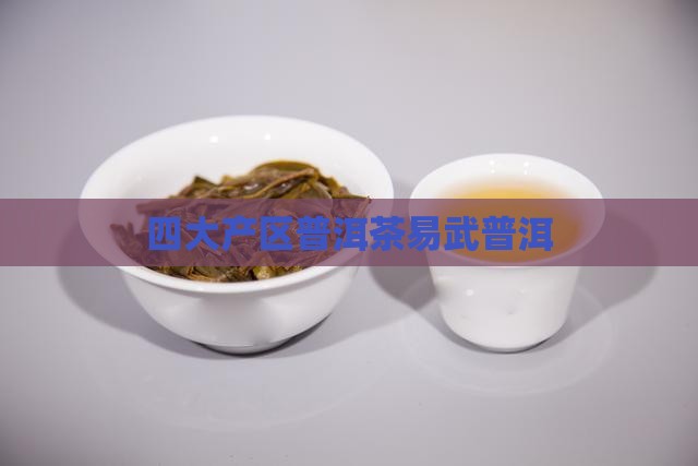 四大基地易武普洱茶