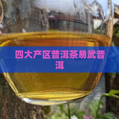 四大基地易武普洱茶