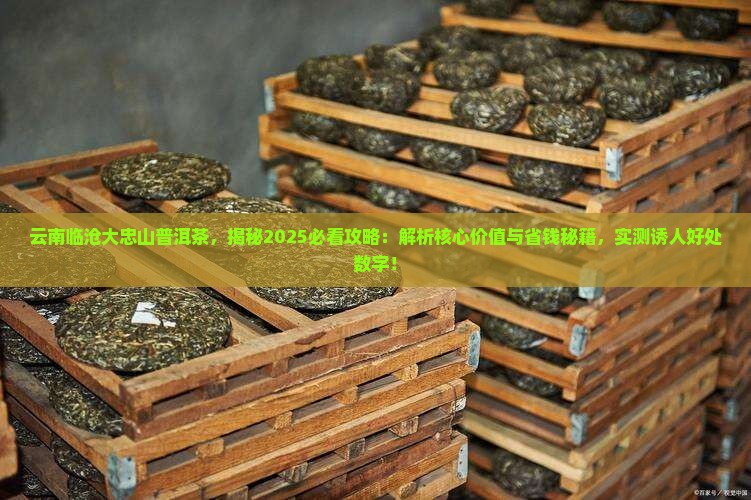 云南临沧大忠山普洱茶