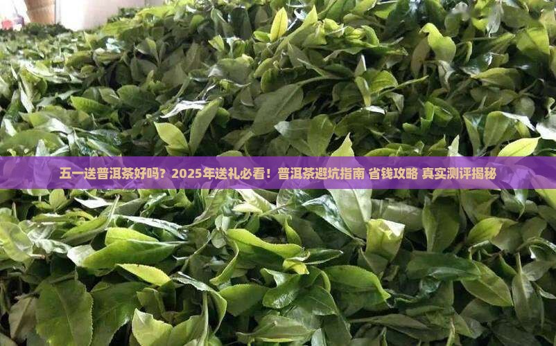五一送普洱茶好吗