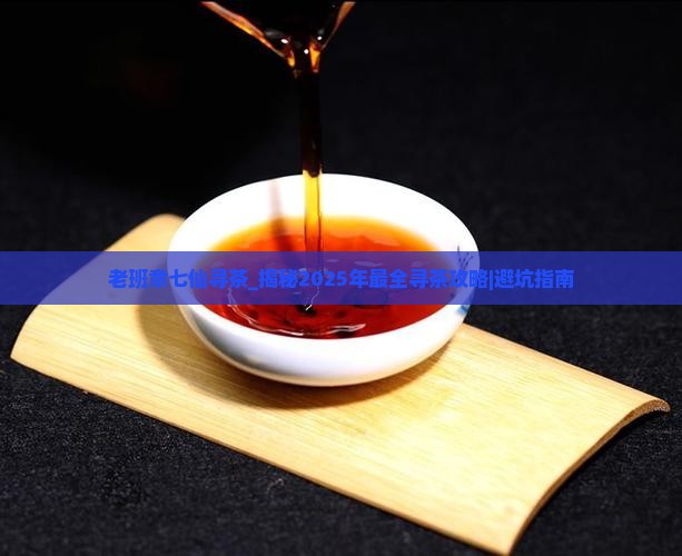 老班章七仙寻茶