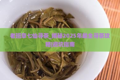 老班章七仙寻茶