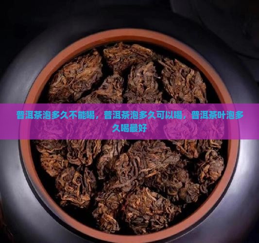 普洱茶泡多久不能喝