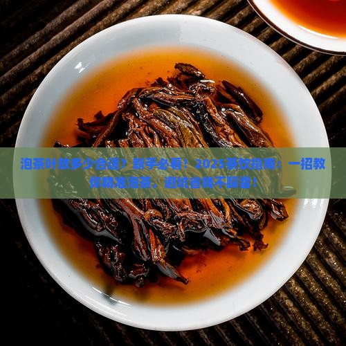 泡茶叶放多少合适