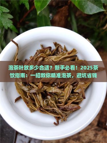 泡茶叶放多少合适