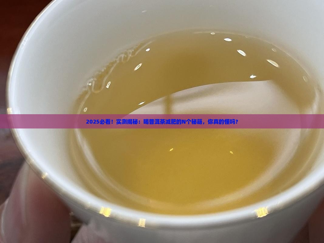怎样喝普洱茶能够减肥