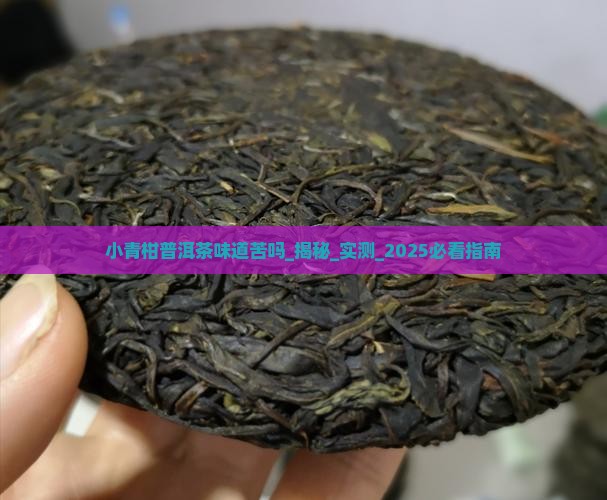 小青柑普洱茶味道苦吗