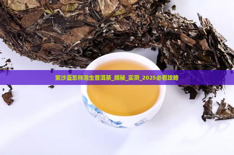 紫沙壶怎样泡生普洱茶