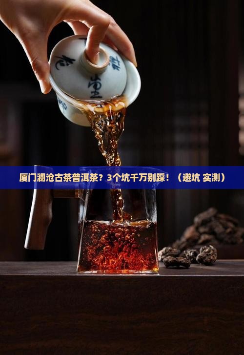 厦门澜沧古茶普洱茶