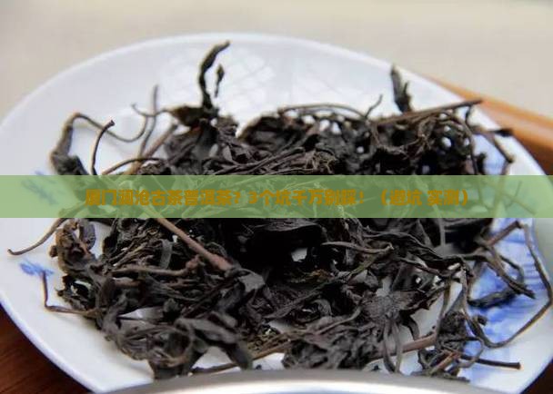 厦门澜沧古茶普洱茶