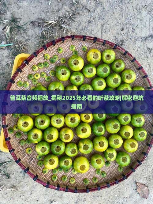 普洱茶音频播放