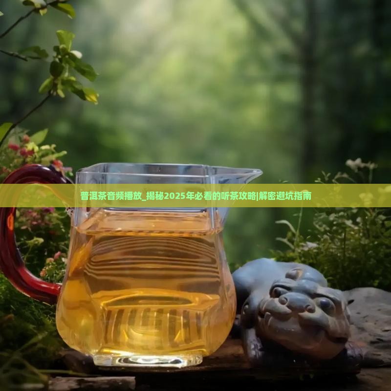 普洱茶音频播放