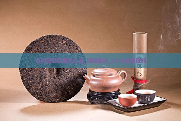 古树普洱茶要怎么泡
