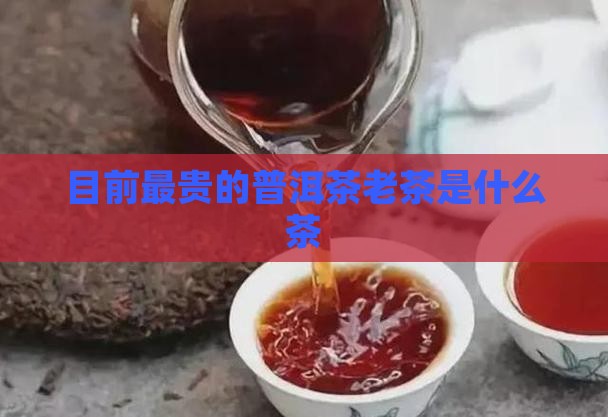 目前最贵的普洱茶老茶是什么茶