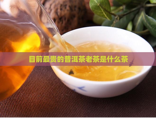 目前最贵的普洱茶老茶是什么茶