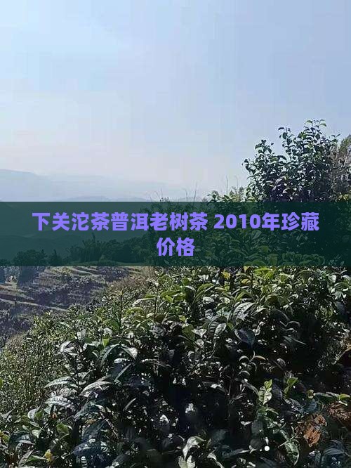 2010年下关生态老树饼茶
