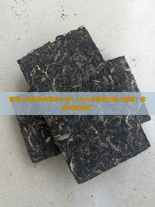 普洱小青柑茶的价钱