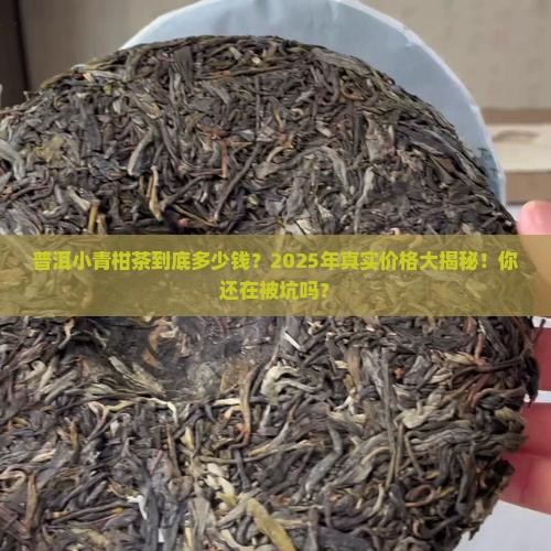 普洱小青柑茶的价钱