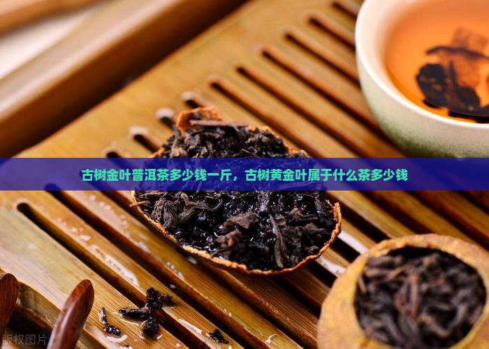 古树金叶普洱茶多少钱一斤