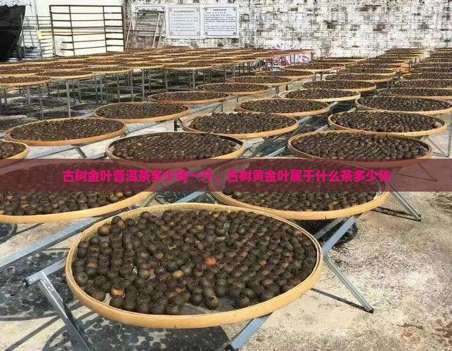 古树金叶普洱茶多少钱一斤