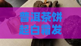 普洱茶饼起白霉