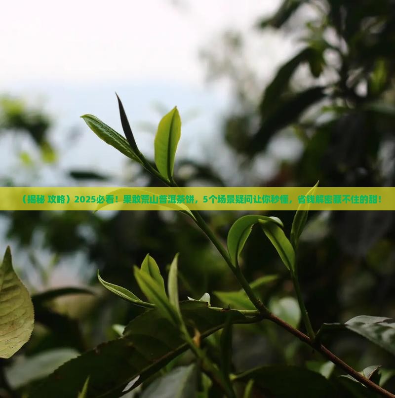 果敢荒山普洱茶饼 果敢荒山普洱茶饼