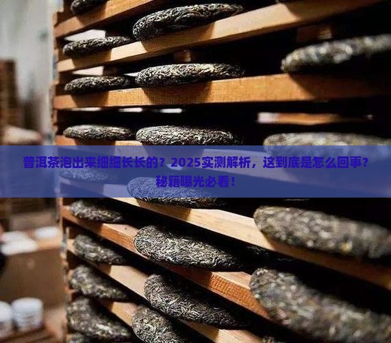 普洱茶泡出来细细长长的 普洱茶泡出来细细长长的
