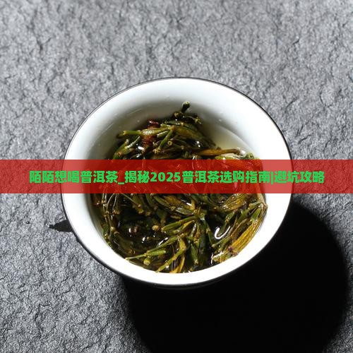 陌陌想喝普洱茶