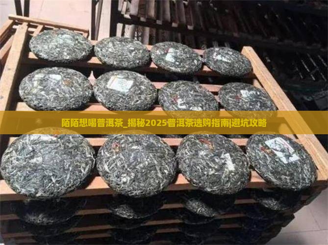 陌陌想喝普洱茶