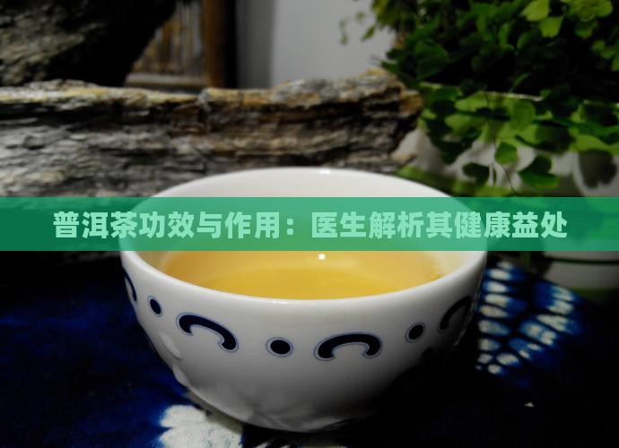 冲泡普洱茶功能与作用