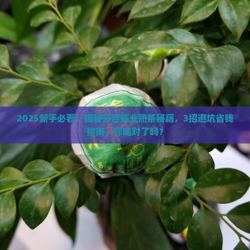 芬吉茶业普洱茶熟茶产品