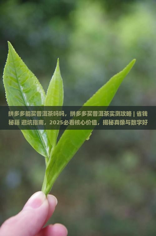 拼多多能买普洱茶吗吗