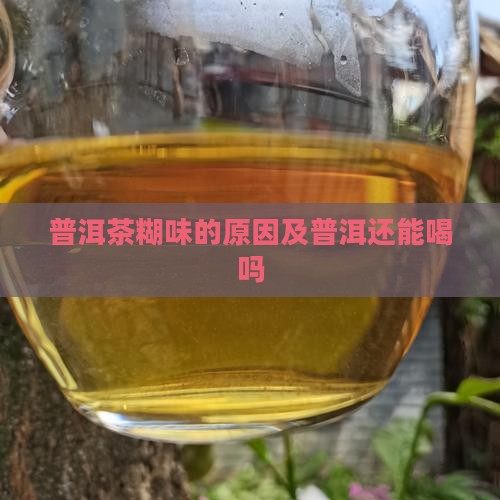 普洱茶有糊味还能喝吗