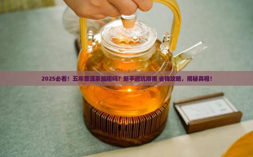 五年普洱茶能喝吗