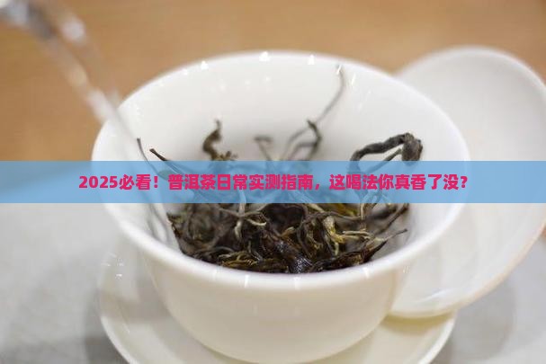 喝普洱茶的日常